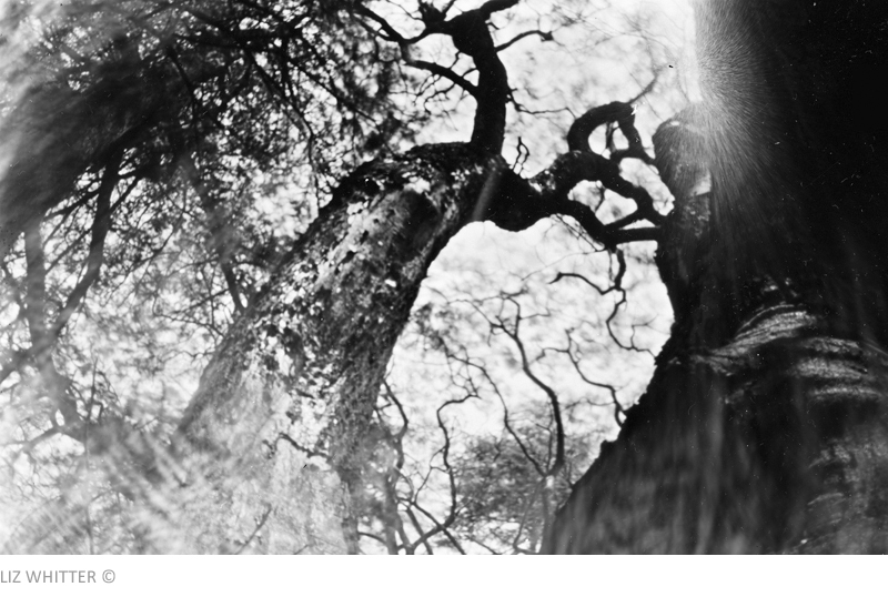 PINHOLE WORKSHOP
